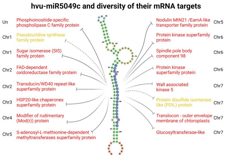 https://cdn.ncbi.nlm.nih.gov/pmc/blobs/ffe3/9740008/68bce2c74f13/ijms-23-14755-g005.jpg
