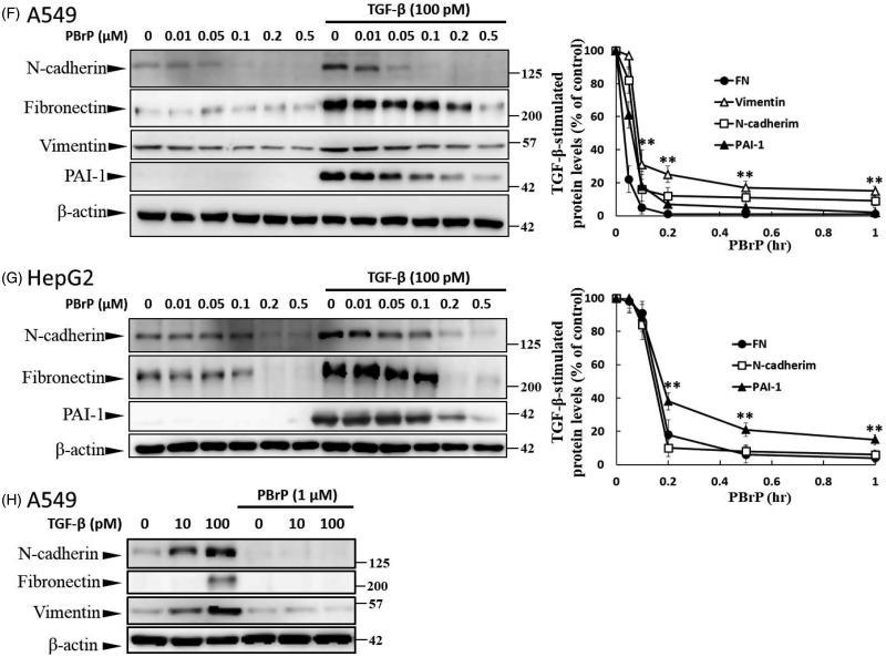 https://cdn.ncbi.nlm.nih.gov/pmc/blobs/ffe4/6009923/2b8a5fae76aa/IENZ_A_1465416_F0003b_B.jpg