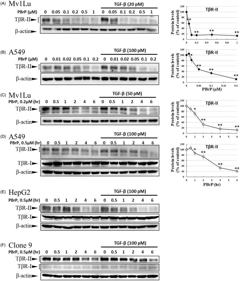 https://cdn.ncbi.nlm.nih.gov/pmc/blobs/ffe4/6009923/518cb5436a6c/IENZ_A_1465416_F0005a_B.jpg