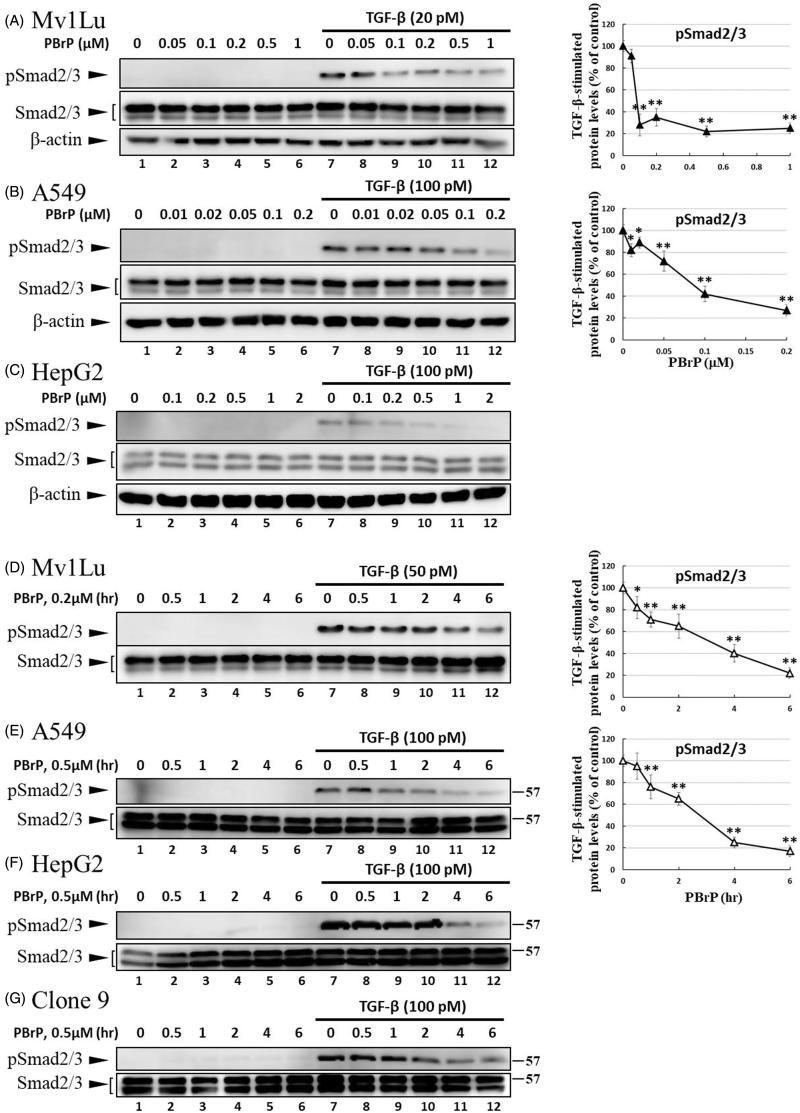 https://cdn.ncbi.nlm.nih.gov/pmc/blobs/ffe4/6009923/c8dde64c3103/IENZ_A_1465416_F0002a_B.jpg