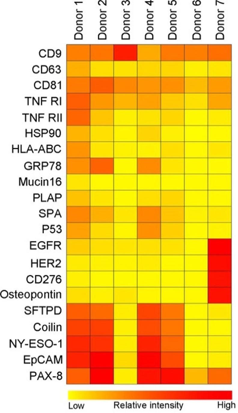 https://cdn.ncbi.nlm.nih.gov/pmc/blobs/ffe6/3760630/96a10b71b217/JEV-2-20920-g004.jpg
