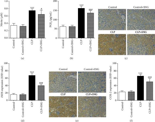 https://cdn.ncbi.nlm.nih.gov/pmc/blobs/ffe8/7872741/bb02f7700cc0/BMRI2021-6678165.003.jpg