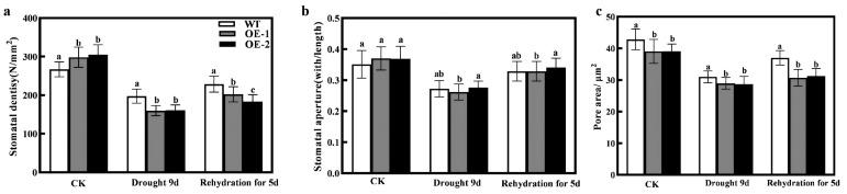 https://cdn.ncbi.nlm.nih.gov/pmc/blobs/ffe9/11507591/fdeffc8f2fbc/ijms-25-11031-g009.jpg