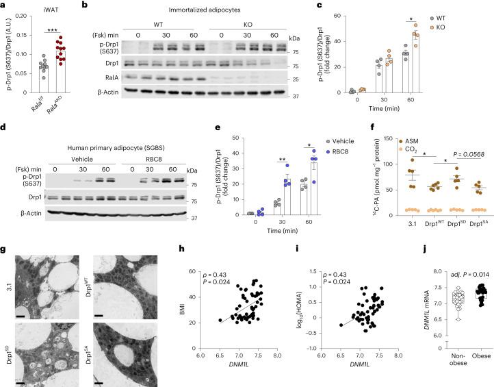 https://cdn.ncbi.nlm.nih.gov/pmc/blobs/ffea/10896723/e26da6a7f7e4/42255_2024_978_Fig5_HTML.jpg