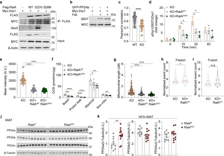https://cdn.ncbi.nlm.nih.gov/pmc/blobs/ffea/10896723/fdc5a2019767/42255_2024_978_Fig13_ESM.jpg