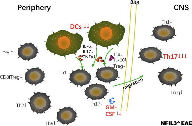 https://cdn.ncbi.nlm.nih.gov/pmc/blobs/ffed/9263648/3ad3764023f1/ga1.jpg