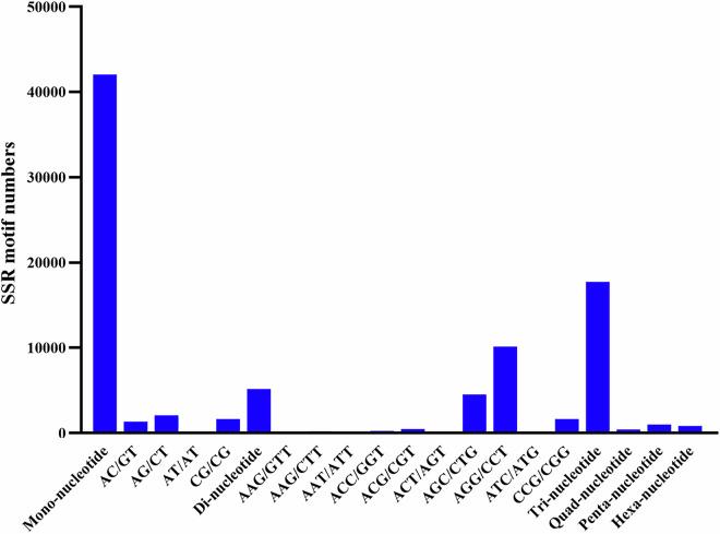 https://cdn.ncbi.nlm.nih.gov/pmc/blobs/fff0/11868372/9e0495a104e5/41597_2025_4699_Fig9_HTML.jpg