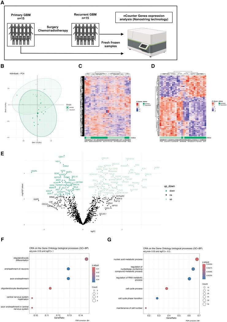 https://cdn.ncbi.nlm.nih.gov/pmc/blobs/fff1/11659594/435a5a273ba0/nlae108f1.jpg
