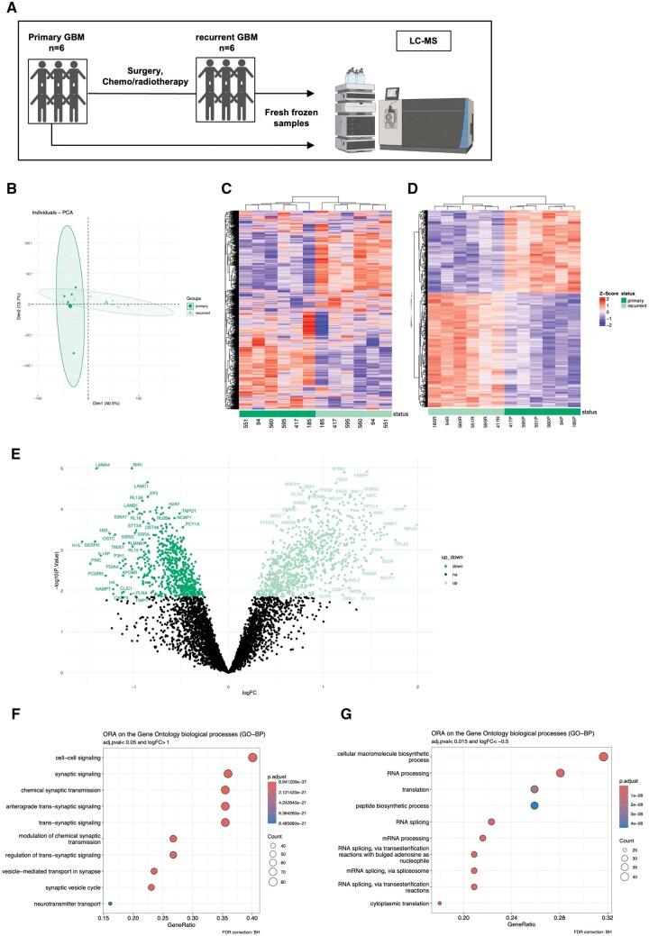 https://cdn.ncbi.nlm.nih.gov/pmc/blobs/fff1/11659594/6f71fe932b41/nlae108f2.jpg