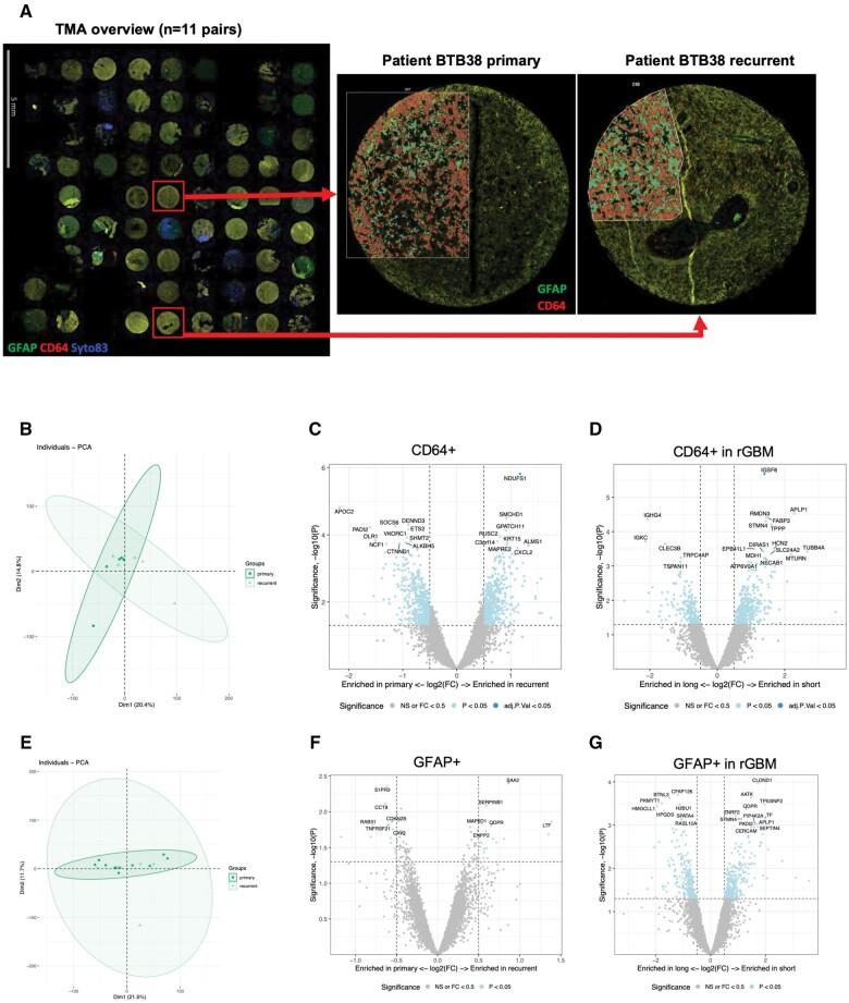 https://cdn.ncbi.nlm.nih.gov/pmc/blobs/fff1/11659594/8c6c93ca2952/nlae108f4.jpg