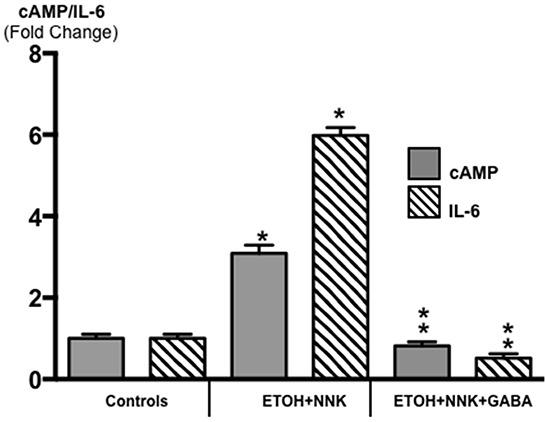 https://cdn.ncbi.nlm.nih.gov/pmc/blobs/fff1/5190108/486c96976316/oncotarget-07-44430-g003.jpg