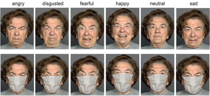 https://cdn.ncbi.nlm.nih.gov/pmc/blobs/fff2/11362606/a03e598623fe/41598_2024_68178_Fig1_HTML.jpg