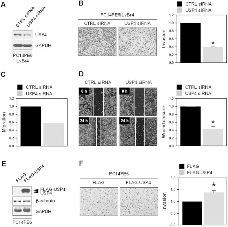 https://cdn.ncbi.nlm.nih.gov/pmc/blobs/fff2/4756316/33169f8b20f0/srep21596-f4.jpg
