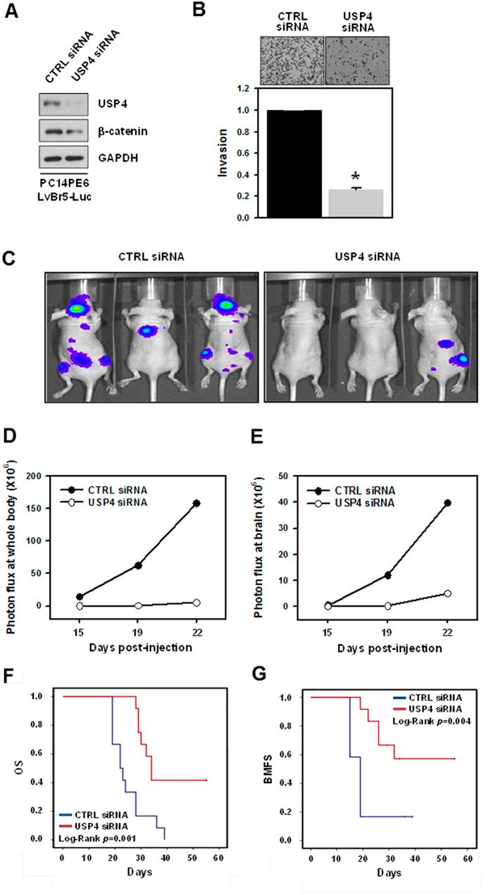 https://cdn.ncbi.nlm.nih.gov/pmc/blobs/fff2/4756316/49cf0492dbc4/srep21596-f7.jpg
