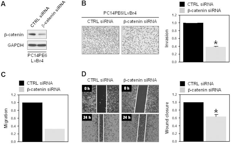 https://cdn.ncbi.nlm.nih.gov/pmc/blobs/fff2/4756316/8967a6e7d02c/srep21596-f2.jpg