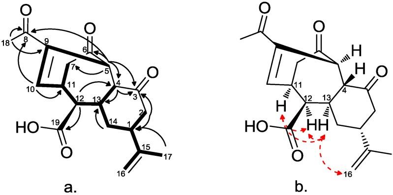 https://cdn.ncbi.nlm.nih.gov/pmc/blobs/fff3/4113814/469c4e1c63f3/marinedrugs-12-04045-g002.jpg