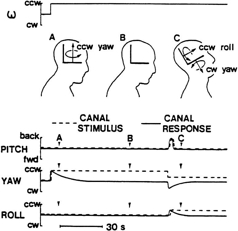 https://cdn.ncbi.nlm.nih.gov/pmc/blobs/fff4/4112051/89e6ce407711/221_2014_4008_Fig2_HTML.jpg