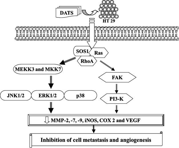 https://cdn.ncbi.nlm.nih.gov/pmc/blobs/fff5/4407594/040936b3d646/jcmm0019-0474-f4.jpg