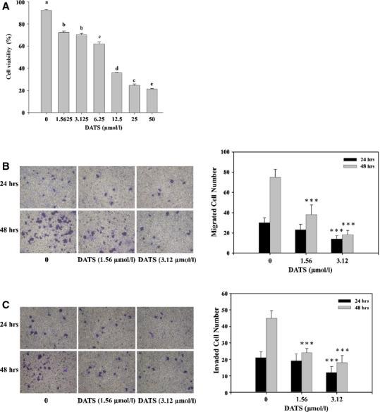 https://cdn.ncbi.nlm.nih.gov/pmc/blobs/fff5/4407594/59f1eed331bb/jcmm0019-0474-f1.jpg