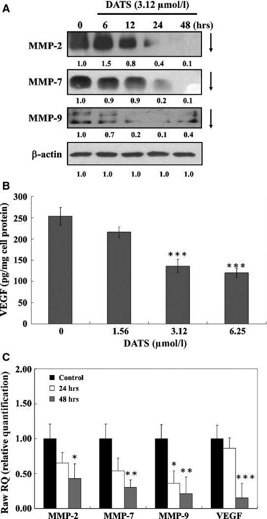 https://cdn.ncbi.nlm.nih.gov/pmc/blobs/fff5/4407594/fe006bcd26ab/jcmm0019-0474-f2.jpg