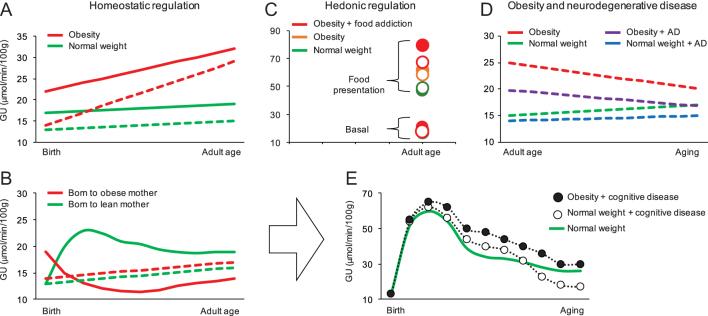 https://cdn.ncbi.nlm.nih.gov/pmc/blobs/fff6/6865363/29da5034f5d0/EC-19-0348fig2.jpg