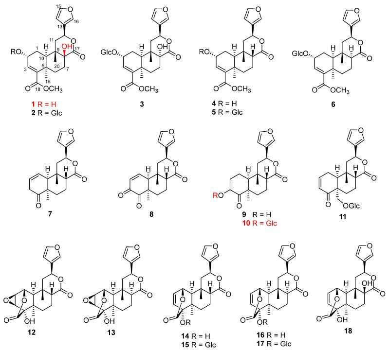 https://cdn.ncbi.nlm.nih.gov/pmc/blobs/fff7/10780120/ae173fcc4643/molecules-29-00154-g001.jpg