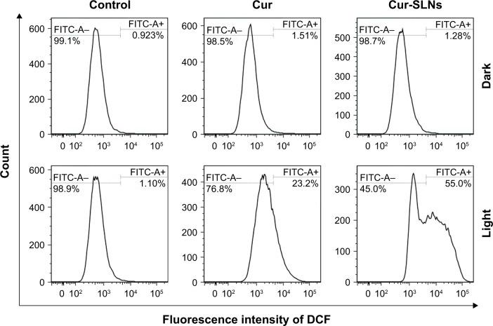 https://cdn.ncbi.nlm.nih.gov/pmc/blobs/fff7/5191853/5e194f5da678/ijn-12-167Fig7.jpg