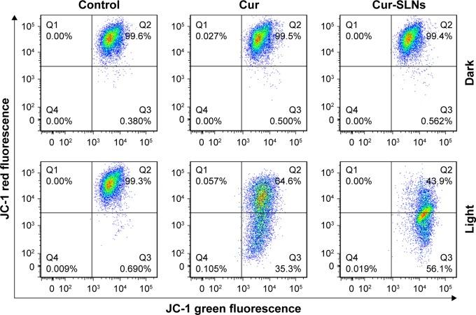 https://cdn.ncbi.nlm.nih.gov/pmc/blobs/fff7/5191853/f5aa5aa6a81b/ijn-12-167Fig8.jpg