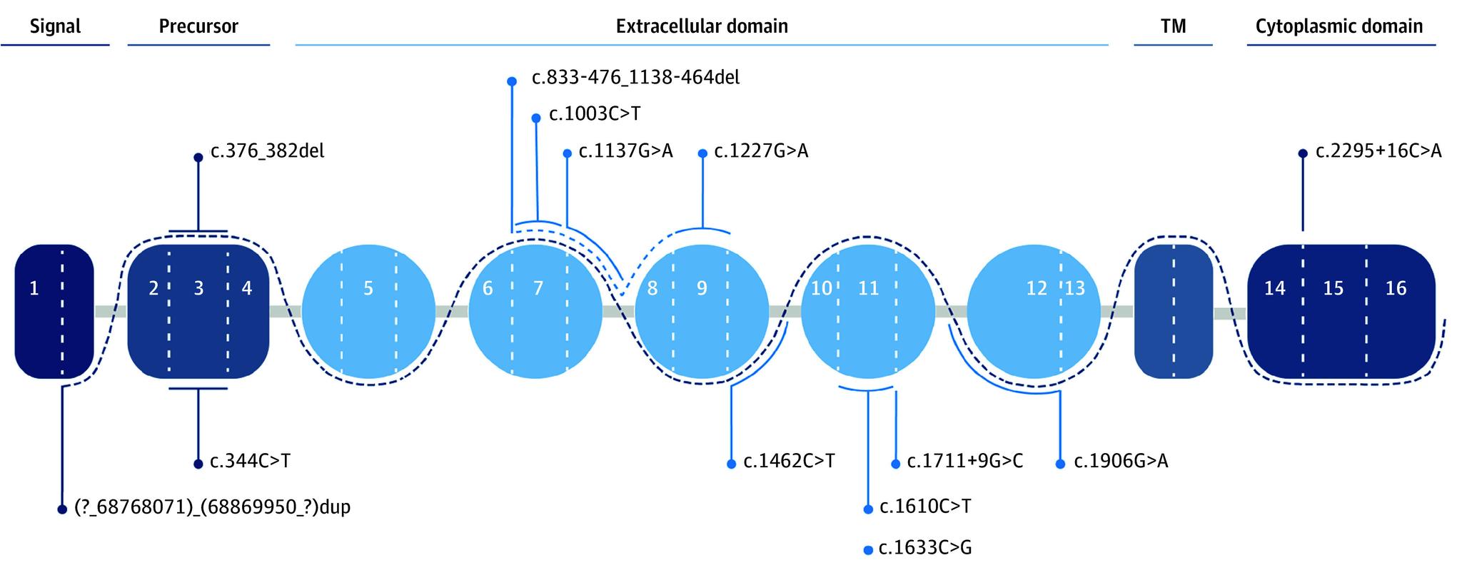 https://cdn.ncbi.nlm.nih.gov/pmc/blobs/fff8/11040411/d1bb3a1aad46/jamanetwopen-e247862-g001.jpg