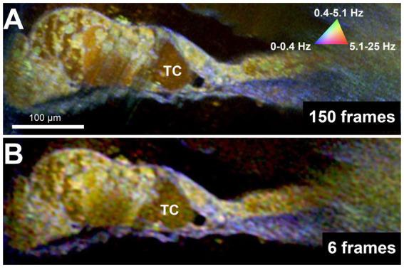 https://cdn.ncbi.nlm.nih.gov/pmc/blobs/fff8/11499234/343b69819891/fnmol-17-1436837-g004.jpg