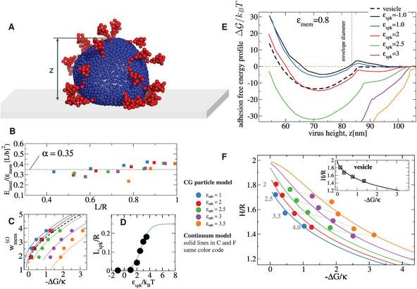 https://cdn.ncbi.nlm.nih.gov/pmc/blobs/fffa/11538687/33e13eb36691/ADVS-11-2404186-g003.jpg