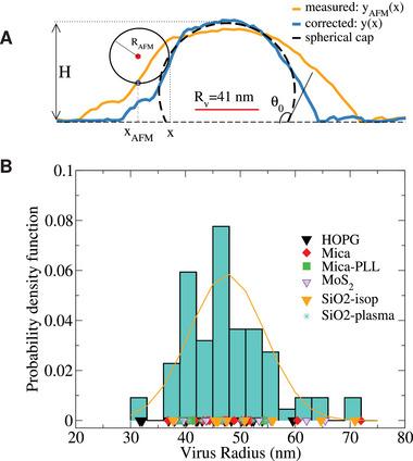 https://cdn.ncbi.nlm.nih.gov/pmc/blobs/fffa/11538687/5a4a93935dde/ADVS-11-2404186-g008.jpg