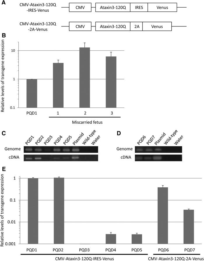 https://cdn.ncbi.nlm.nih.gov/pmc/blobs/fffa/5368386/d29da01076b5/enu0021722700001.jpg