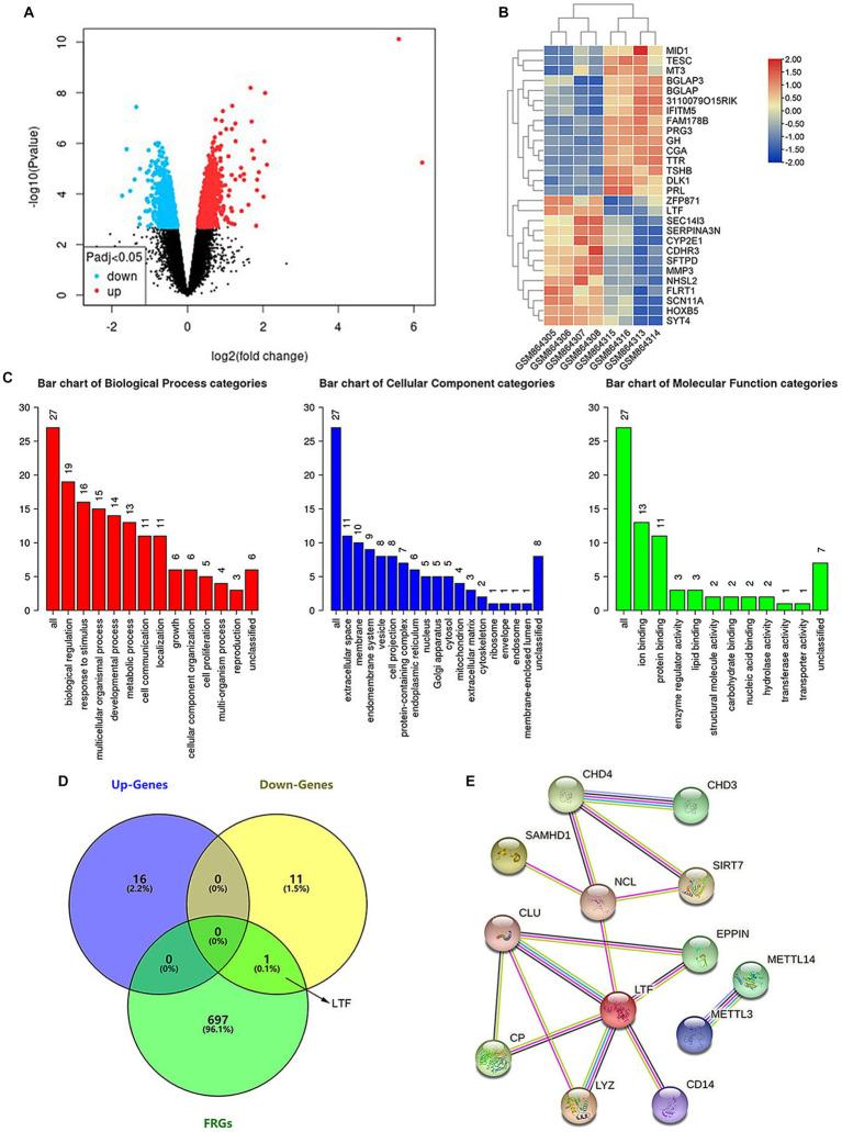 https://cdn.ncbi.nlm.nih.gov/pmc/blobs/fffe/10809180/4806bc658381/fnagi-16-1309115-g002.jpg