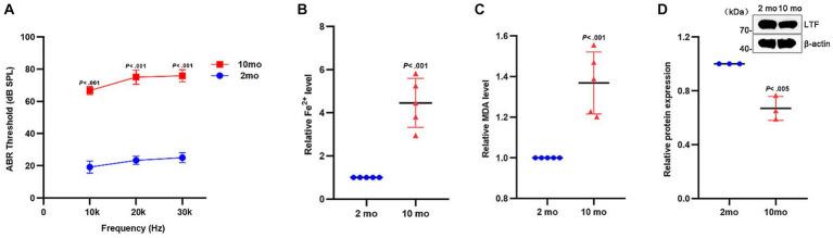 https://cdn.ncbi.nlm.nih.gov/pmc/blobs/fffe/10809180/c7f6f72a22d9/fnagi-16-1309115-g006.jpg