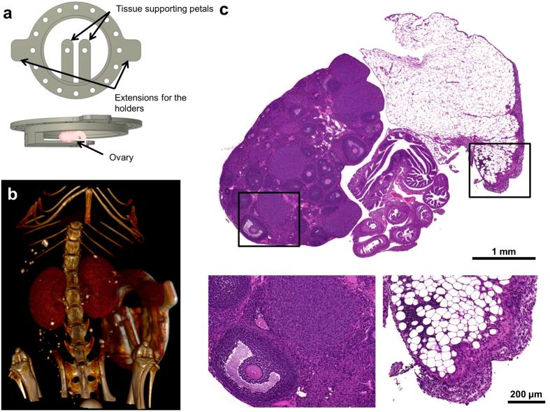https://cdn.ncbi.nlm.nih.gov/pmc/blobs/fffe/4513547/9762d040ec82/srep12446-f1.jpg