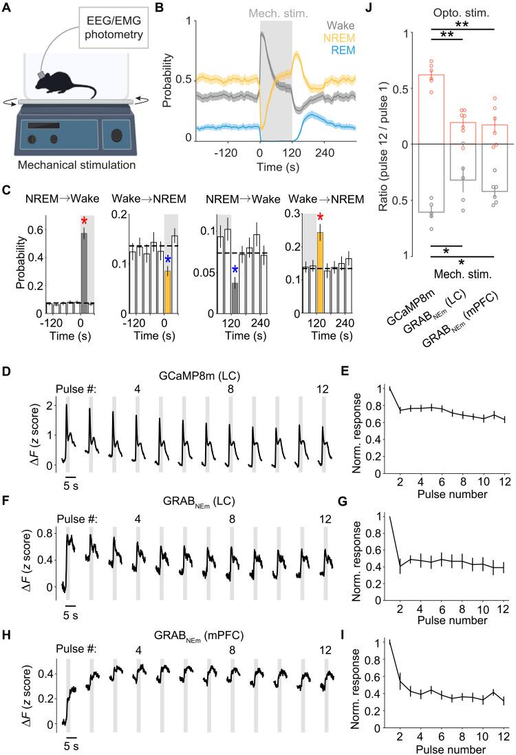 https://cdn.ncbi.nlm.nih.gov/pmc/blobs/ffff/11740930/8b0a9d6c5d01/sciadv.adq0651-f3.jpg